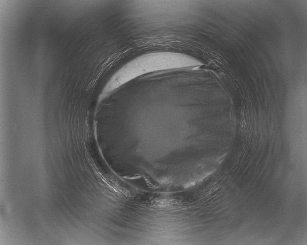 X0000051240408200507082129