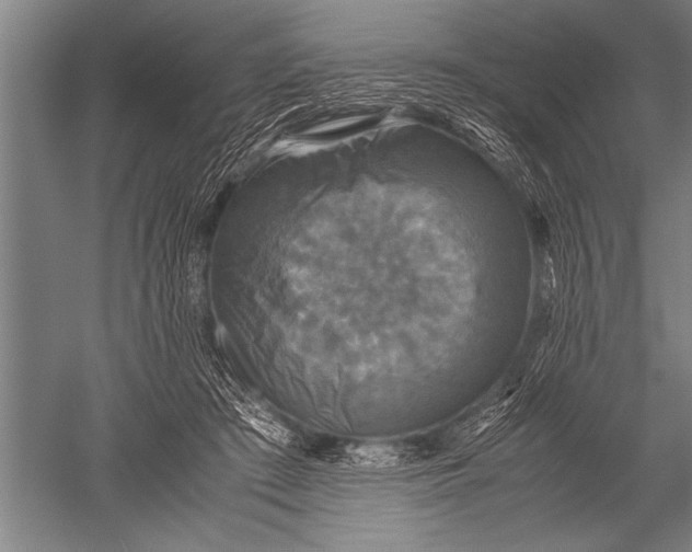 X0000051240409200507082129