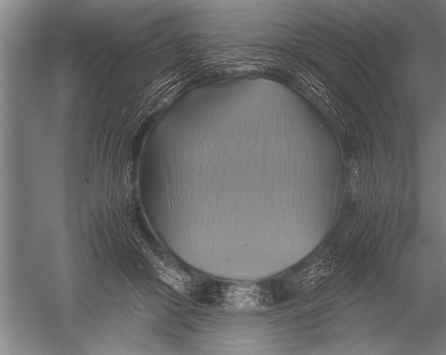 X0000051240410200507082129