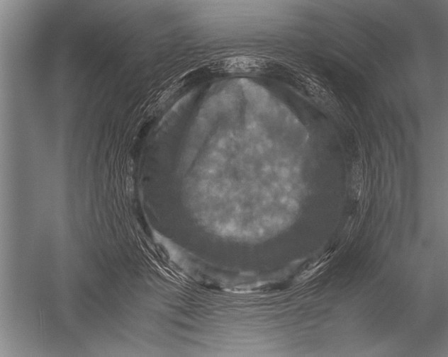 X0000051240413200507082129