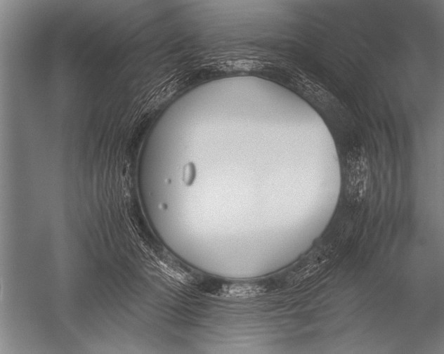 X0000051240414200507082129