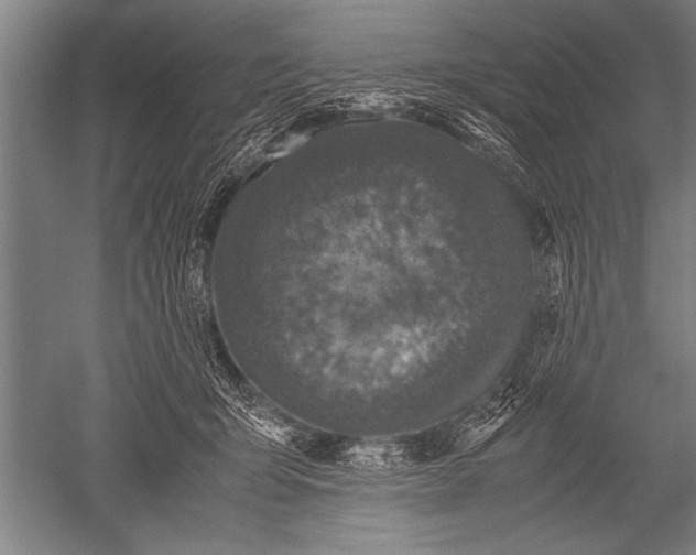 X0000051240415200507082129