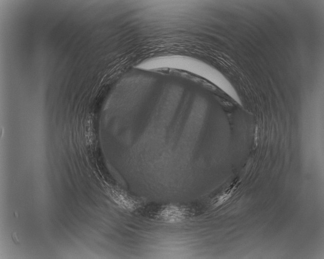 X0000051240416200507082129