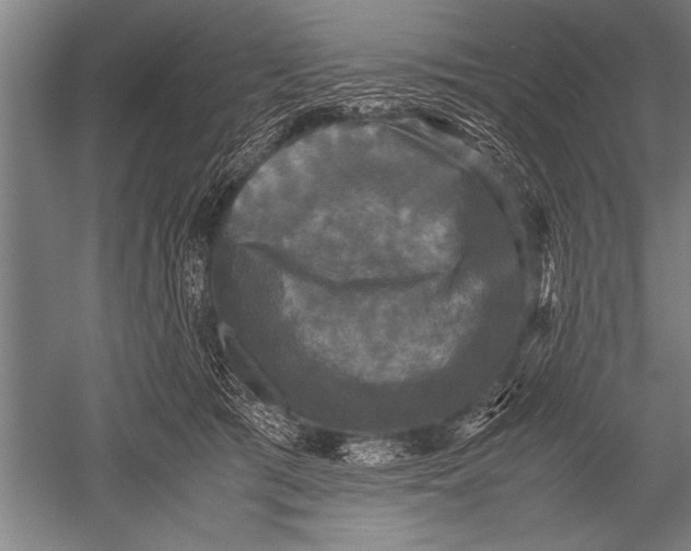 X0000051240417200507082129