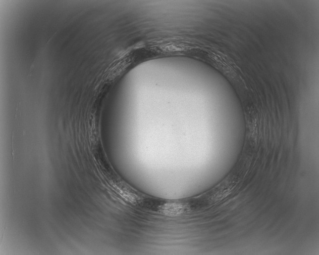 X0000051240418200507082129