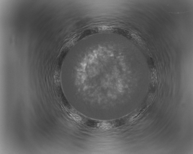 X0000051240419200507082129