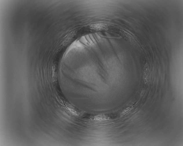 X0000051240420200507082129