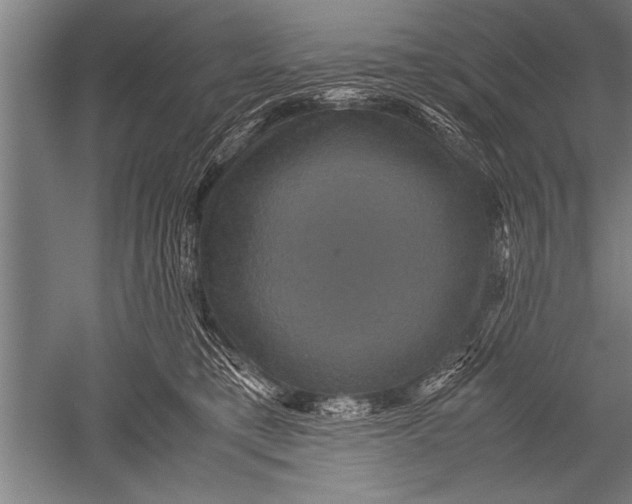 X0000051240421200507082129