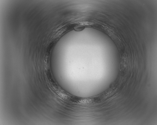 X0000051240422200507082129