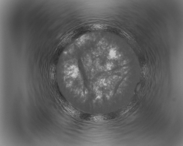 X0000051240423200507082129