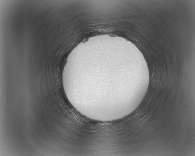 X0000051240424200507082129