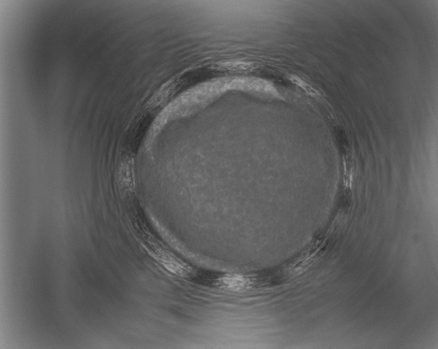 X0000051240425200507082129