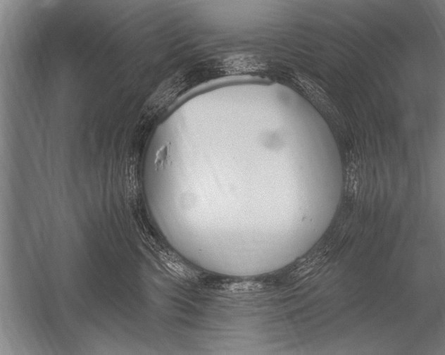 X0000051240426200507082129