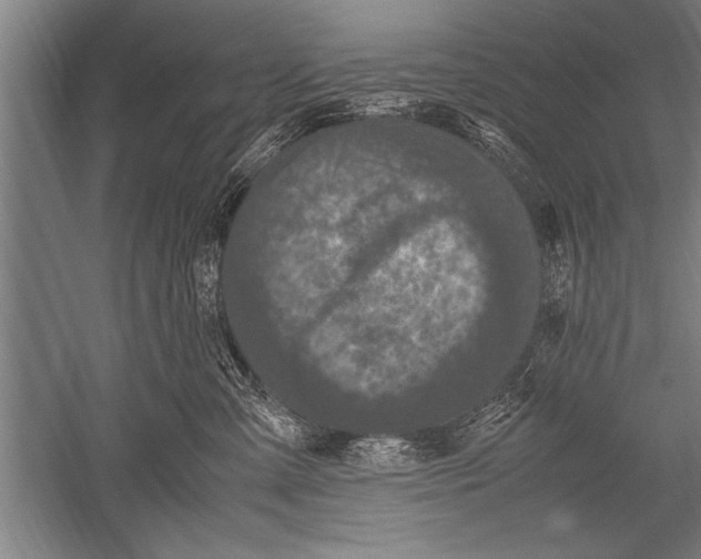 X0000051240427200507082129