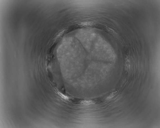 X0000051240428200507082129