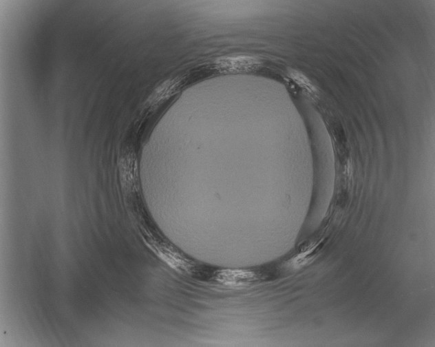 X0000051240429200507082129