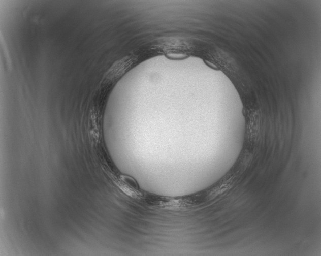 X0000051240430200507082129