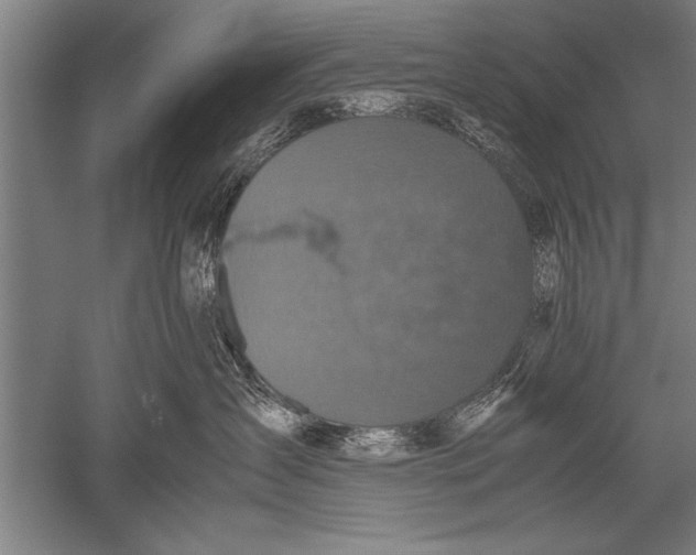 X0000051240431200507082129