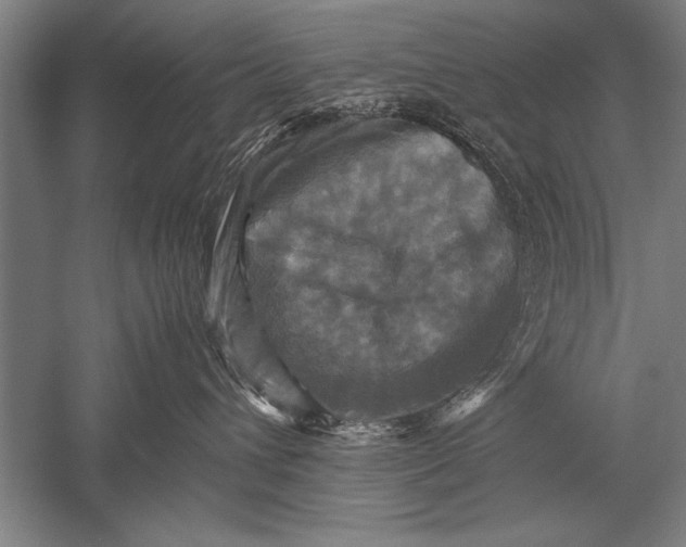 X0000051240432200507082129