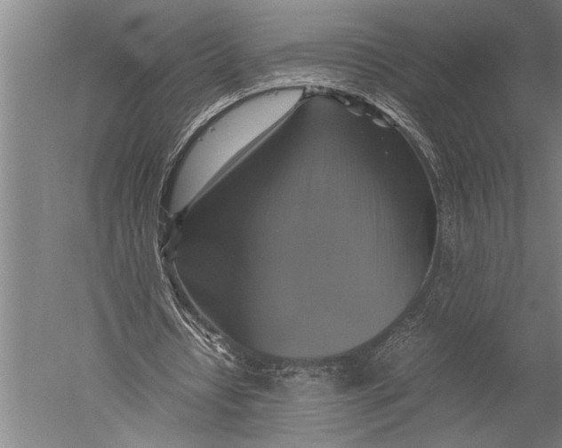 X0000051240434200507082128