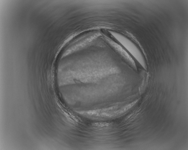 X0000051240435200507082128