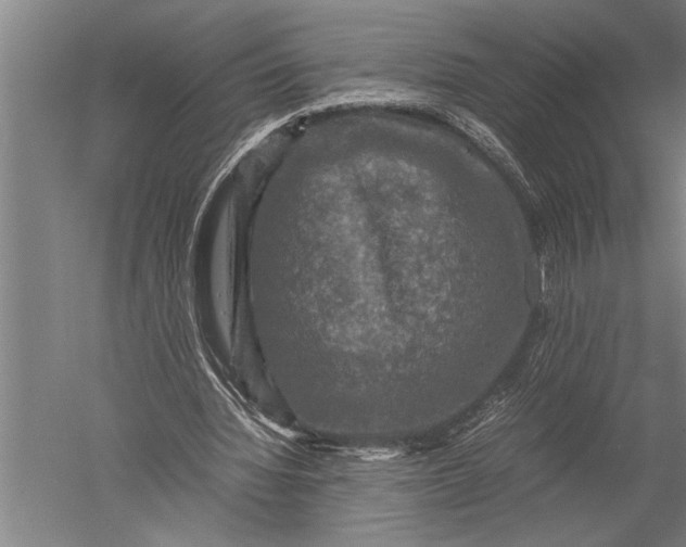 X0000051240436200507082128