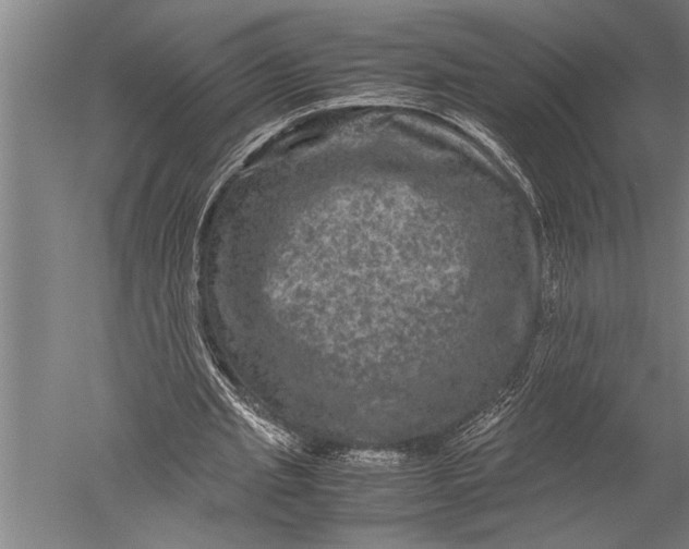 X0000051240437200507082128