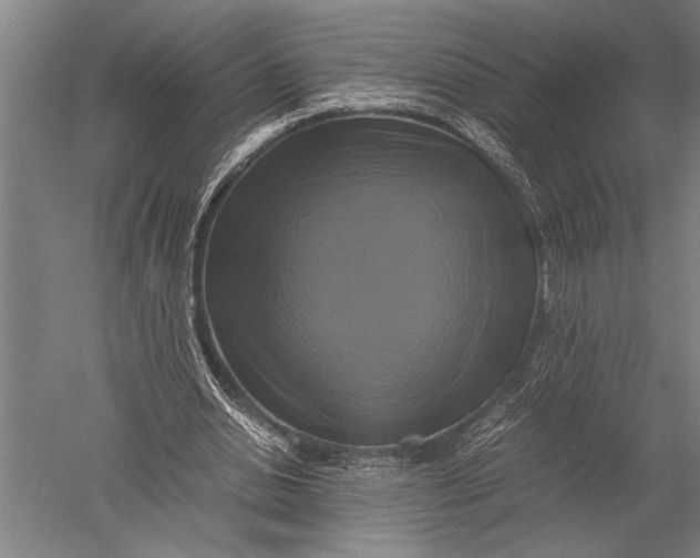 X0000051240438200507082128