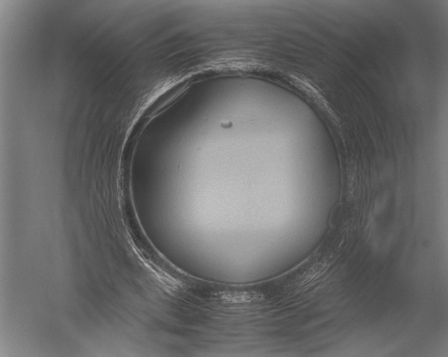 X0000051240439200507082128