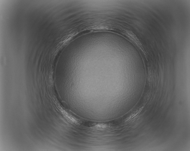 X0000051240441200507082128