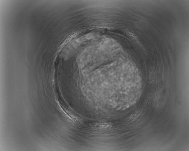 X0000051240443200507082128