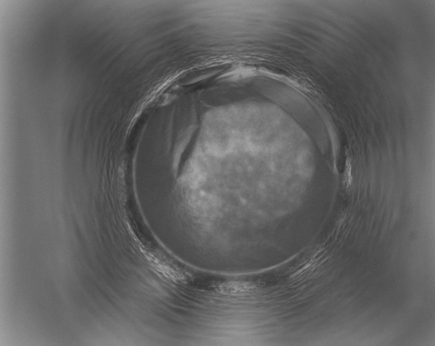 X0000051240444200507082128