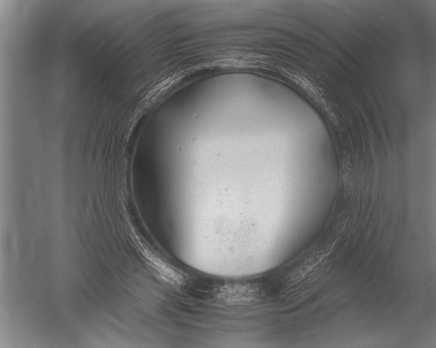 X0000051240445200507082128