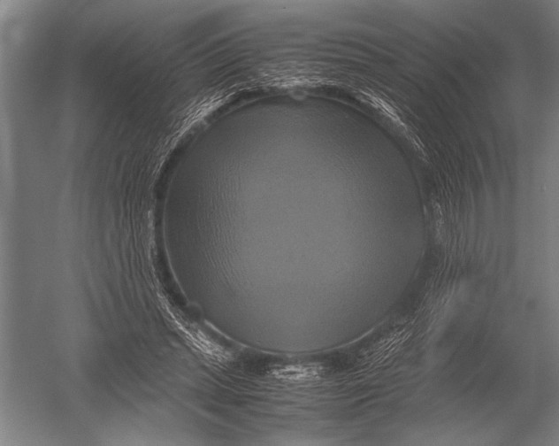 X0000051240447200507082128