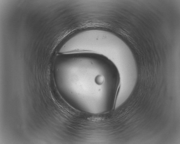 X0000051240448200507082128