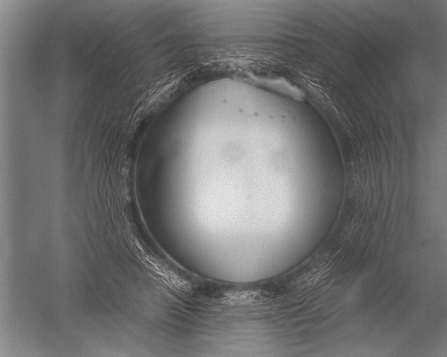 X0000051240450200507082128