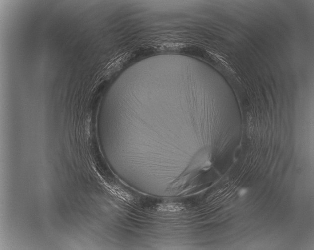 X0000051240451200507082128