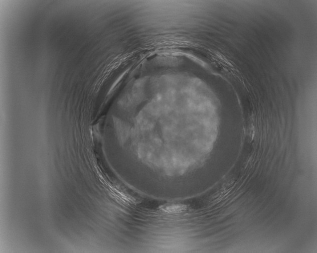 X0000051240452200507082128