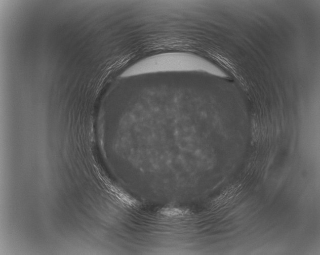 X0000051240453200507082128