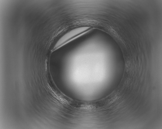 X0000051240454200507082128