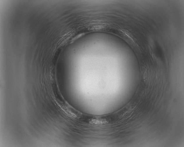 X0000051240455200507082128