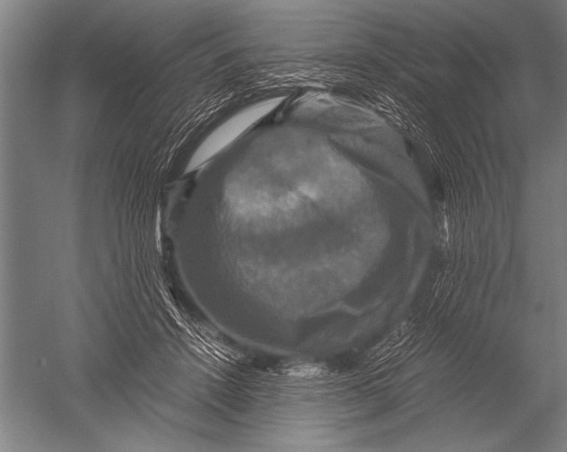 X0000051240456200507082128