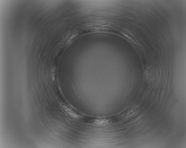 X0000051240458200507082128