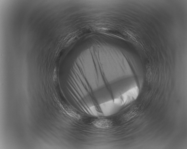 X0000051240459200507082128