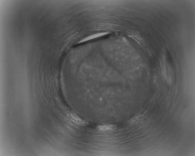 X0000051240461200507082129