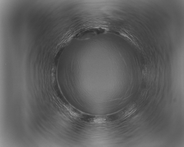 X0000051240462200507082129