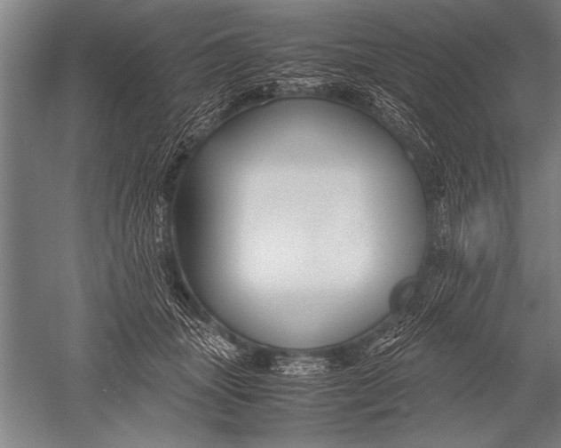 X0000051240463200507082129