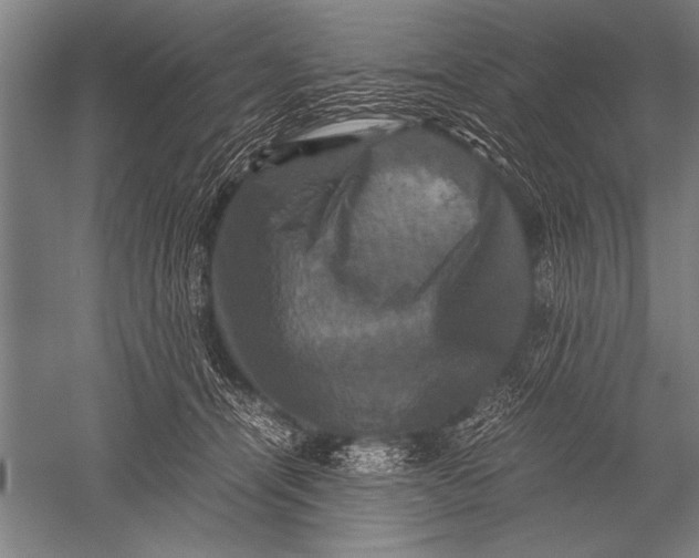 X0000051240464200507082129