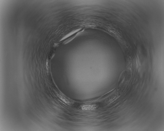 X0000051240465200507082129