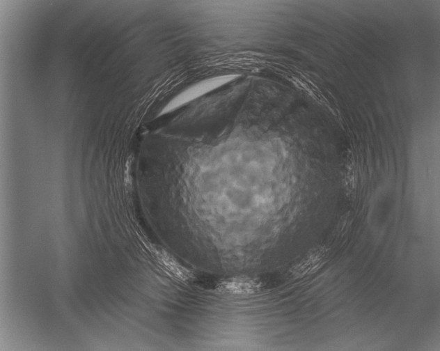 X0000051240466200507082129